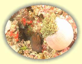 20111121_170 * 1933 x 1455 * (1.97MB)