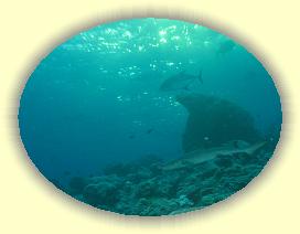 20111121_189 * 2098 x 1579 * (2.22MB)