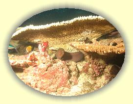 20111121_213 * 2781 x 2093 * (4.04MB)