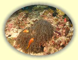 20111121_220 * 2879 x 2166 * (4.32MB)