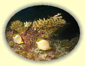 20111121_229 * 2109 x 1587 * (2.41MB)