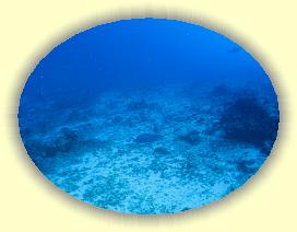 20111122_028 * 2719 x 2046 * (3.72MB)