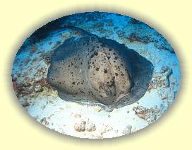 20111122_045 * 2700 x 2032 * (3.69MB)