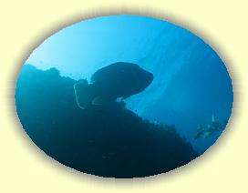 20111122_075 * 3072 x 2304 * (1.86MB)