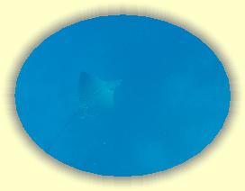 20111122_097 * 2119 x 1595 * (1.47MB)