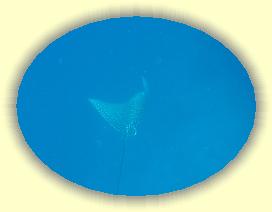 20111122_098 * 2120 x 1595 * (1.58MB)