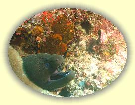 20111122_126 * 2300 x 1731 * (3.22MB)