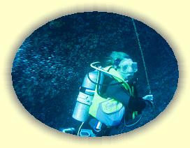 20111122_133 * 2727 x 2052 * (3.32MB)