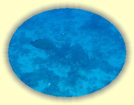 20111122_138 * 2053 x 1545 * (1.5MB)