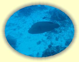 20111122_149 * 2459 x 1850 * (2.11MB)