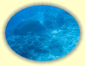 20111122_150 * 3072 x 2304 * (2.52MB)