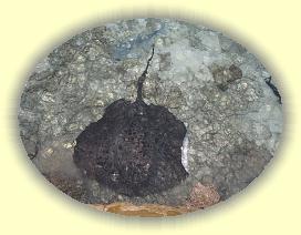 20111122_166 * 3072 x 2304 * (4.47MB)