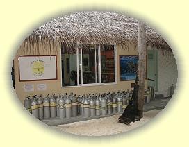 20111123_006 * 3072 x 2304 * (4.66MB)