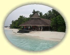 20111123_025 * 3072 x 2304 * (2.87MB)