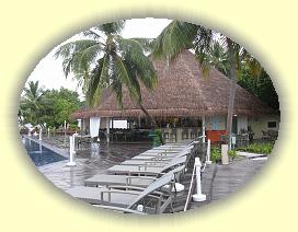 20111123_036 * 3072 x 2304 * (3.9MB)