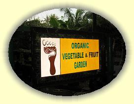 20111123_037 * 3072 x 2304 * (2.63MB)