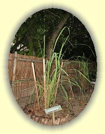 20111123_038 * 3072 x 2304 * (4.52MB)