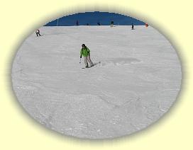 IMG_0060 * 3072 x 2304 * (2.33MB)