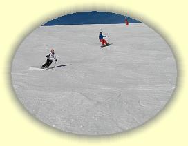 IMG_0065 * 3072 x 2304 * (2.57MB)