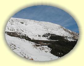 IMG_0088 * 3072 x 2304 * (3.18MB)