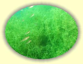 IMG_0057 * 2105 x 1579 * (2.35MB)