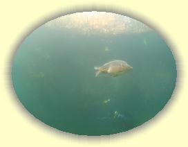 IMG_0070 * 2784 x 2088 * (2.43MB)