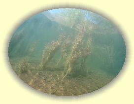 IMG_0095 * 2887 x 2165 * (3.13MB)