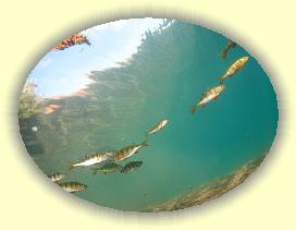 IMG_0138 * 2638 x 1978 * (2.46MB)