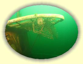 IMG_0175 * 2911 x 2183 * (4.32MB)