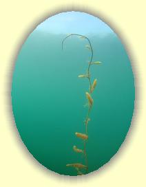 IMG_0198 * 2034 x 2712 * (2.64MB)