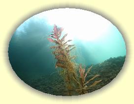 IMG_0202 * 2867 x 2150 * (2.8MB)