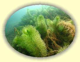 IMG_0204 * 2787 x 2090 * (3.37MB)