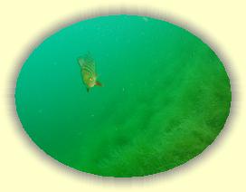 IMG_0213 * 1929 x 1447 * (1.36MB)