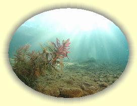 IMG_0220 * 2627 x 1970 * (2.67MB)