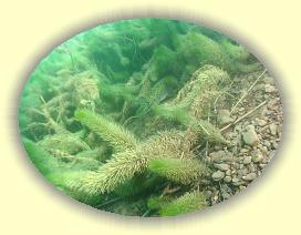 IMG_0222 * 2648 x 1986 * (3.23MB)