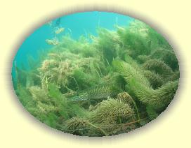 IMG_0229 * 2768 x 2076 * (3.57MB)