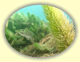 IMG_0234 * 2681 x 2011 * (3.2MB)