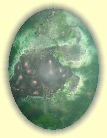 IMG_0254 * 2208 x 2945 * (4.93MB)