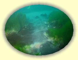 IMG_0257 * 3009 x 2257 * (4.93MB)