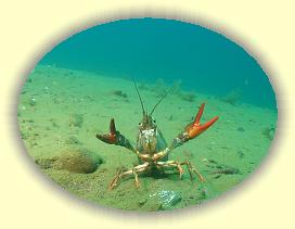 IMG_0276 * 1207 x 905 * (707KB)