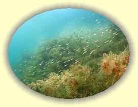 IMG_0279 * 2877 x 2158 * (3.86MB)