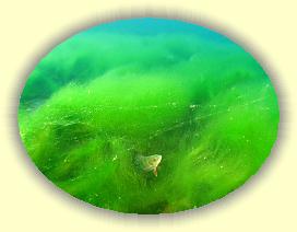 IMG_0294 * 2677 x 2008 * (3.44MB)