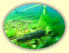 IMG_0299 * 2936 x 2202 * (4.37MB)