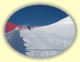 IMG_0095 * 3072 x 2304 * (3.11MB)