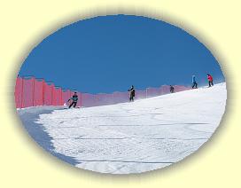 IMG_0111 * 3072 x 2304 * (2.83MB)