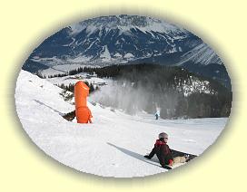 IMG_0006 * 3072 x 2304 * (3.25MB)