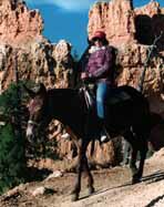 BryANd.jpg (9680 Byte)