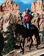 BryRal.jpg (143002 Byte)