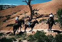 Bryce8k.jpg (11489 Byte)