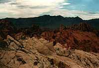 VoF2k.jpg (7466 Byte)